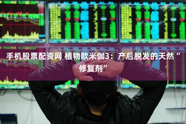 手机股票配资网 植物欧米伽3:产后脱发的天然“修复剂”